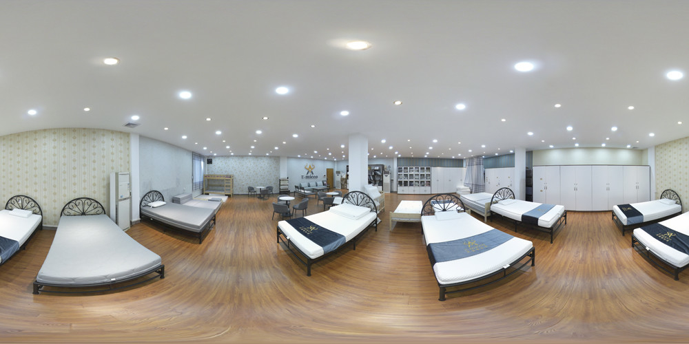 LA CHINE Foshan U-micco Smart Home Co., Ltd. Profil de la société